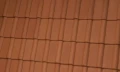 10002.