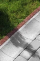 Realizacja Polbruk Płytka ściekowa typ chodnikowy Szary krawędź drogi.webp