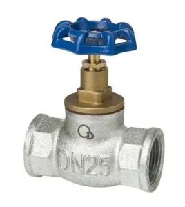 Zawór grzybkowy przelotowy 25mm (1") GW