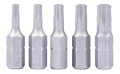 Zestaw bitów 25mm T10 T15 T20 T25 T30 (5 elementów)