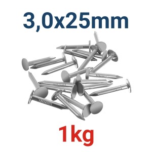 Gwoździe papowe papiaki ocynk 3,0x25mm 1kg