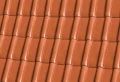 dach monza miedziana angoba.webp