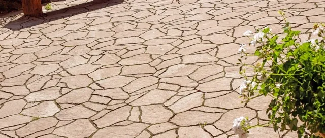 Kostki brukowe dekoracyjne i szlachetne Polbruk